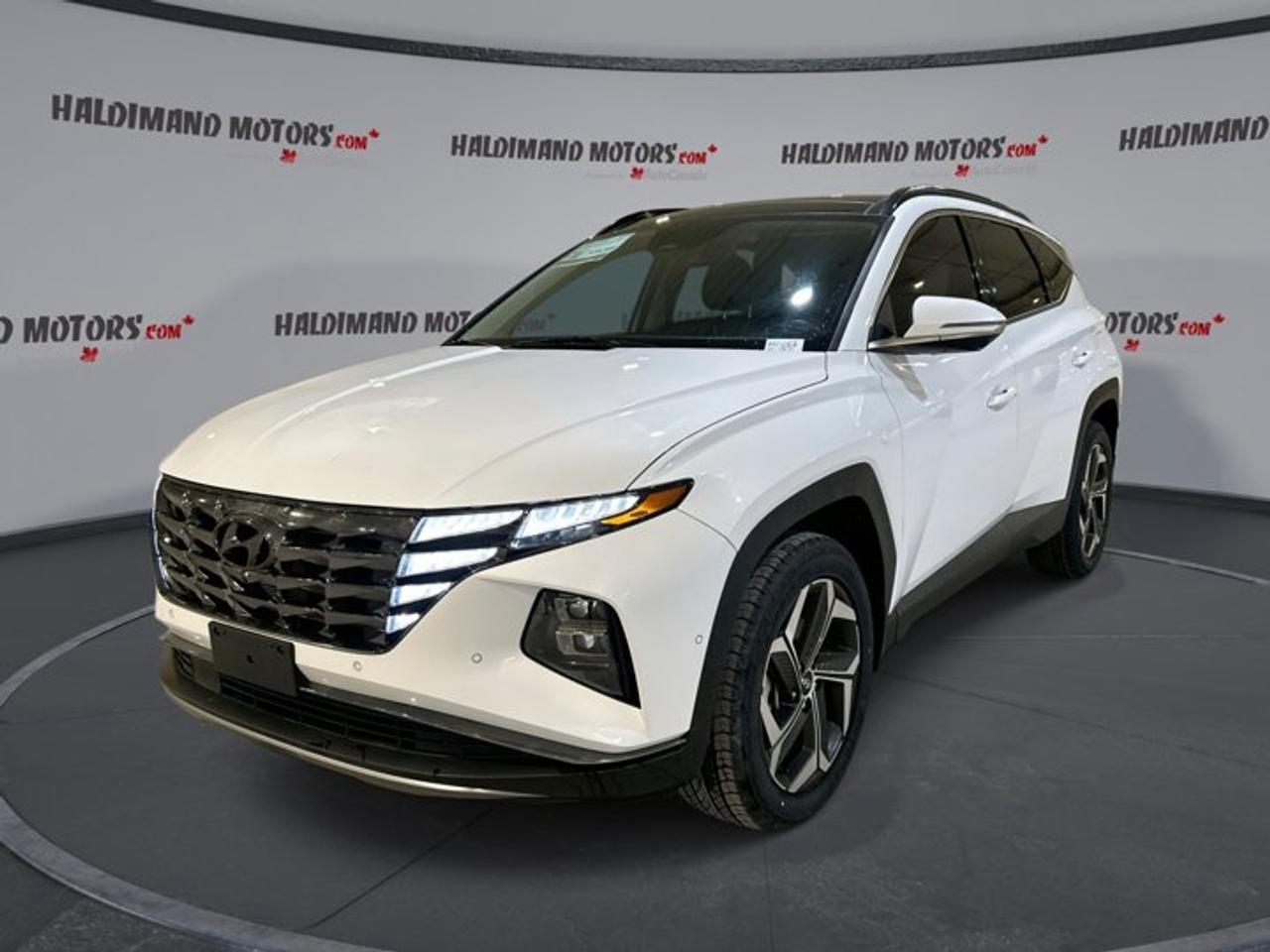 2023 Hyundai Tucson Hybrid Ultimate AWD | 360 Camera | Ventilated Seats Photo