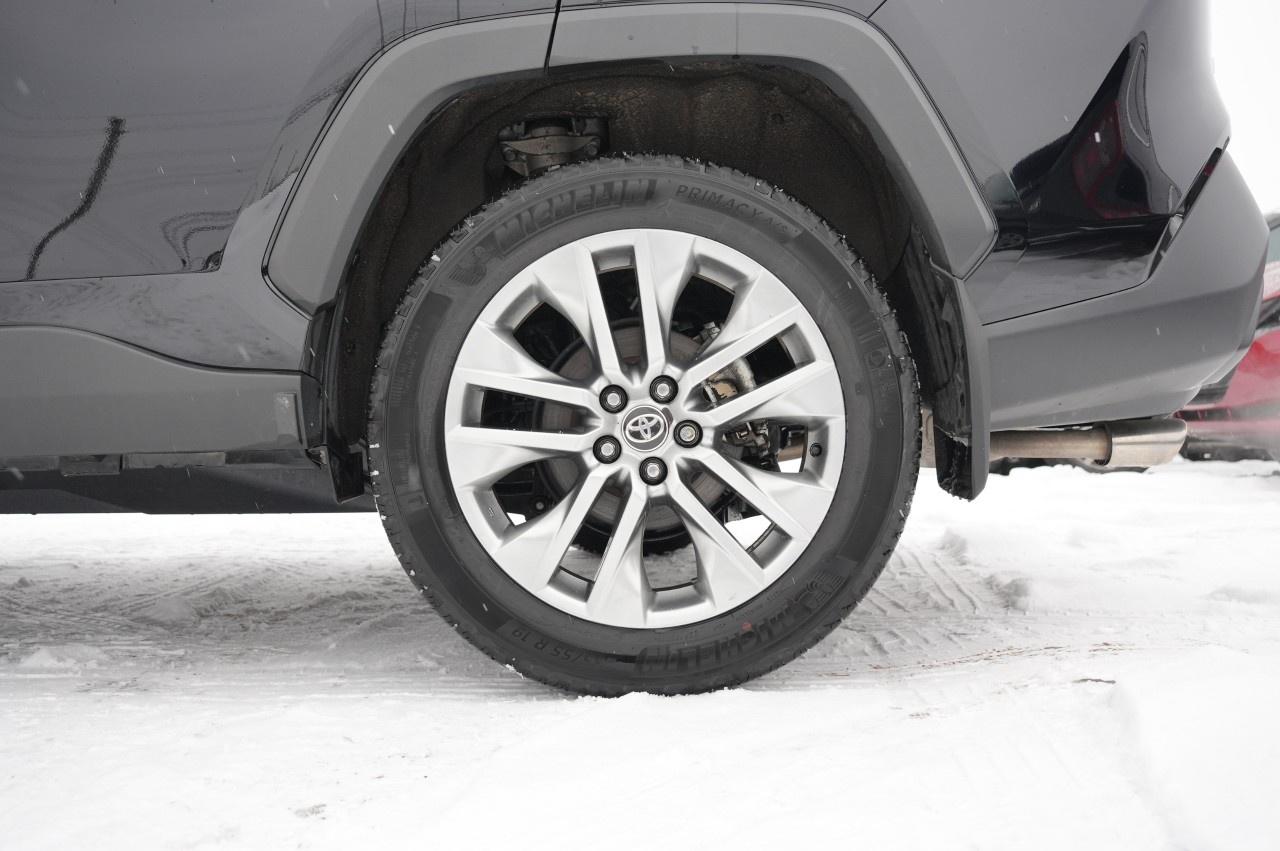 2025 Toyota RAV4 XLE AWD Photo