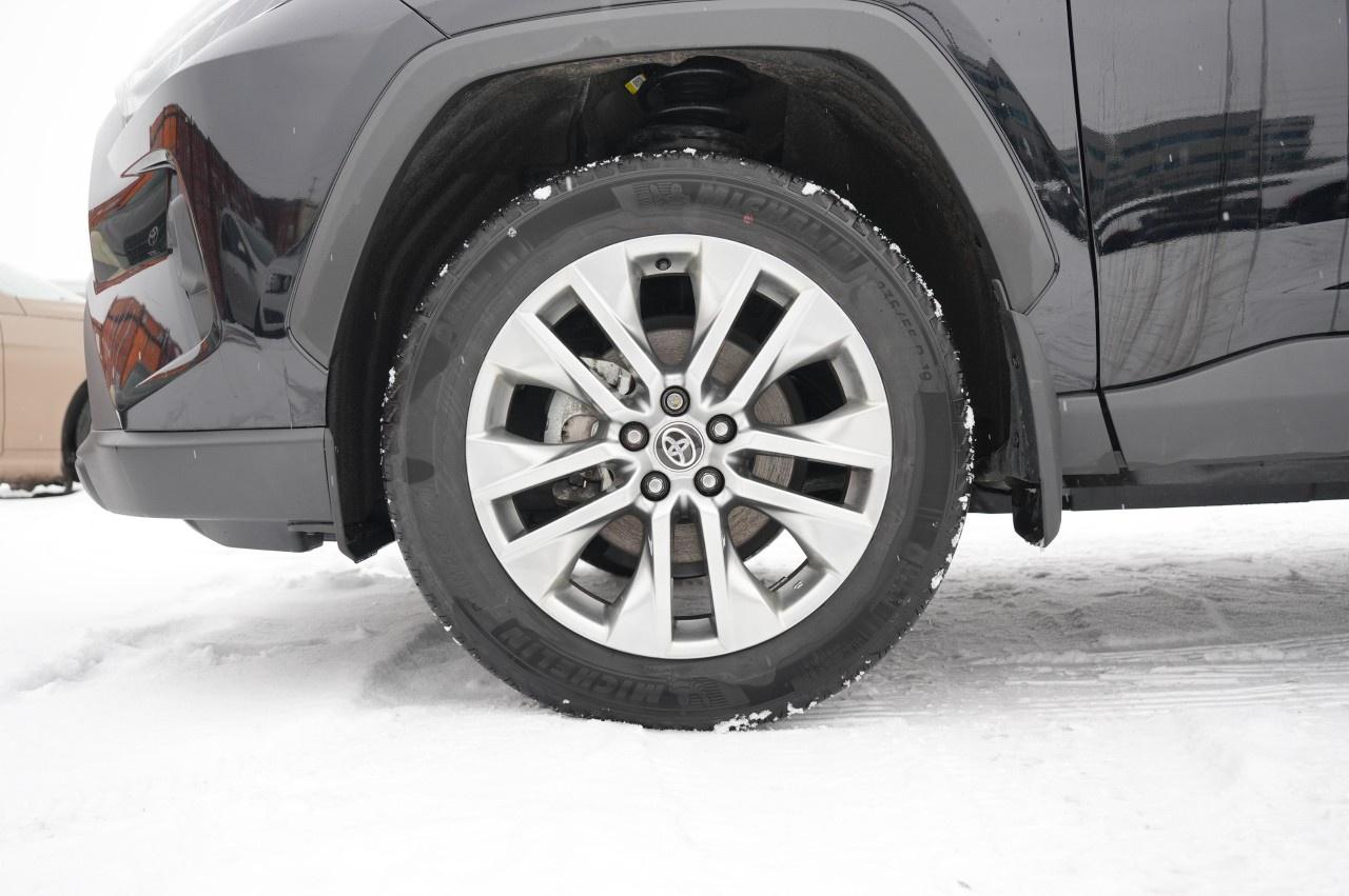 2025 Toyota RAV4 XLE AWD Photo