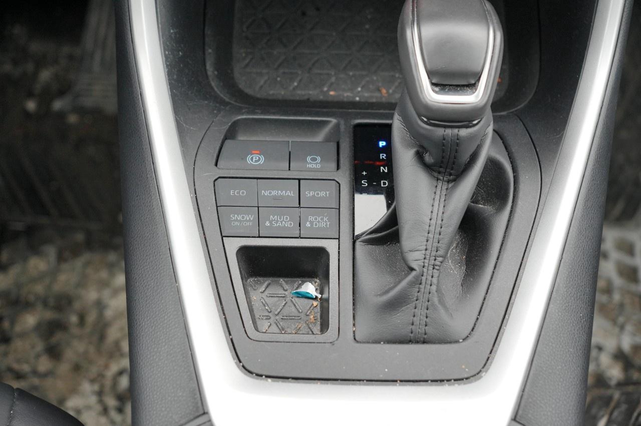 2025 Toyota RAV4 XLE AWD Photo