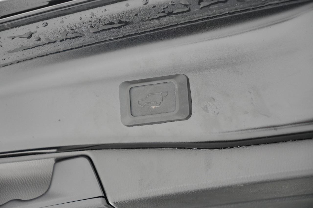 2025 Toyota RAV4 XLE AWD Photo