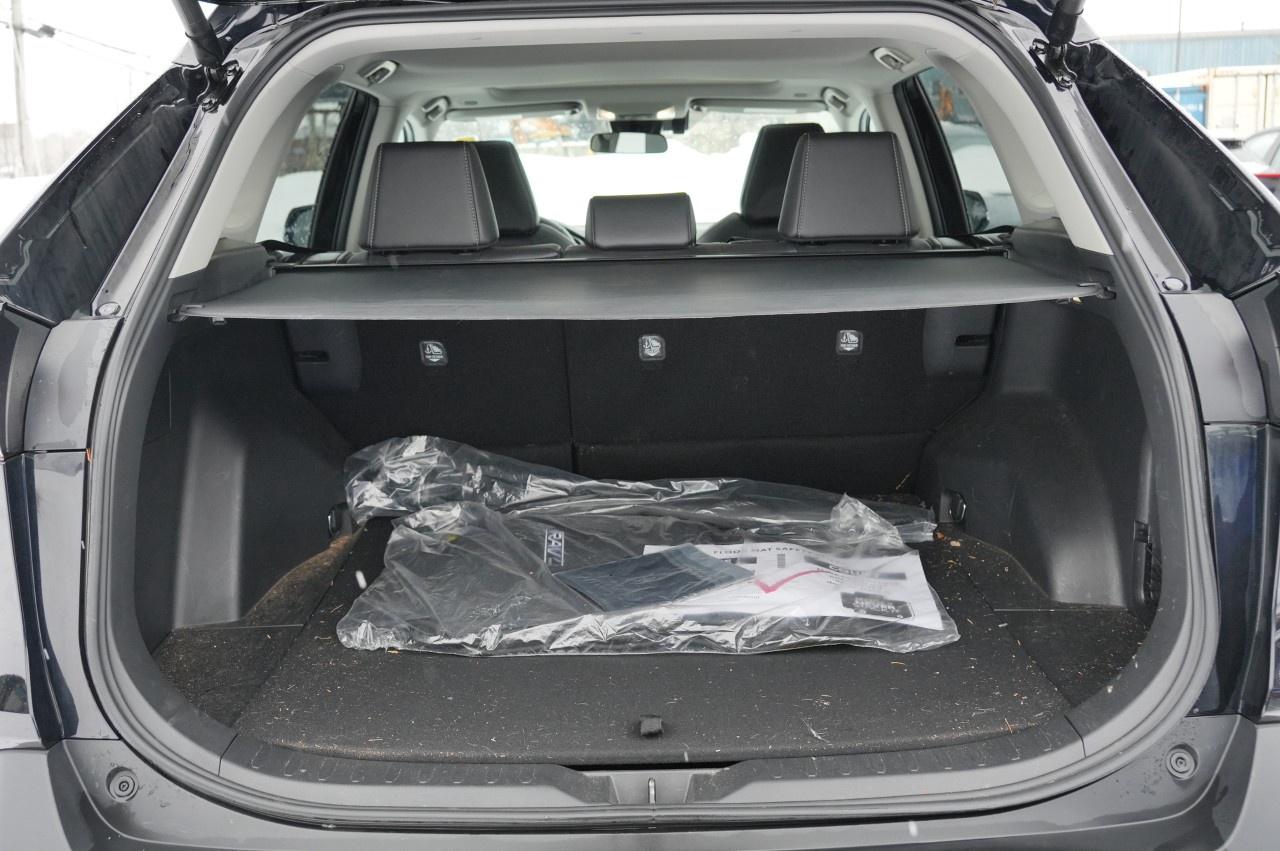 2025 Toyota RAV4 XLE AWD Photo