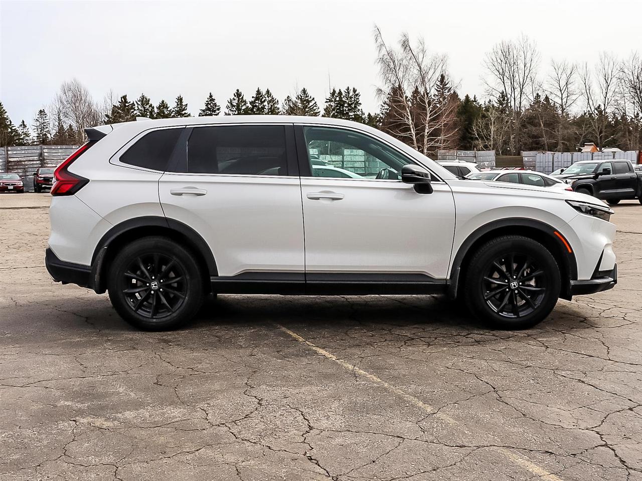 2024 Honda CR-V Hybrid EX-L Photo
