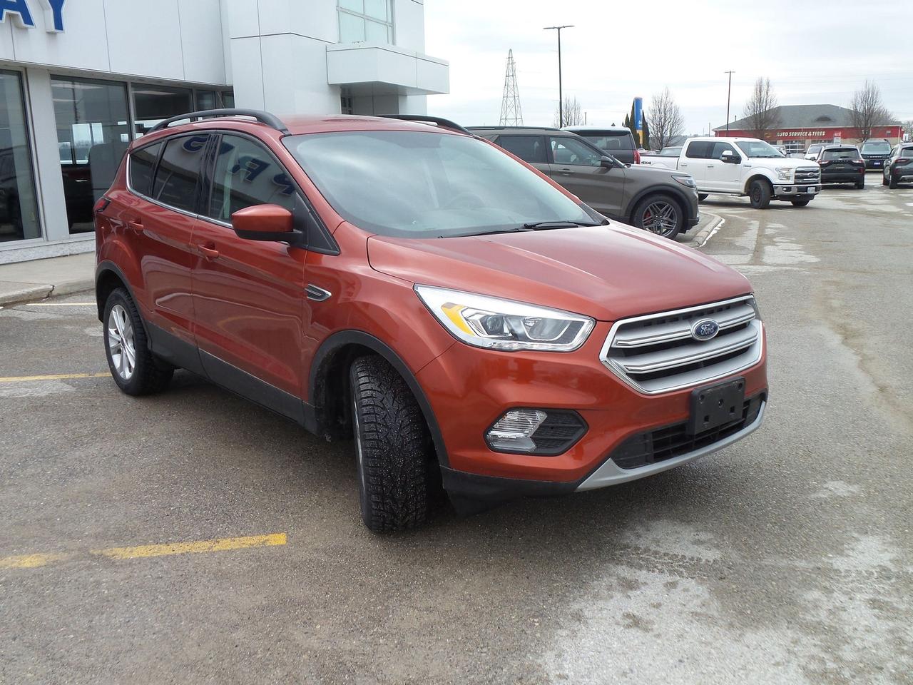 2019 Ford Escape SEL - 4WD Photo