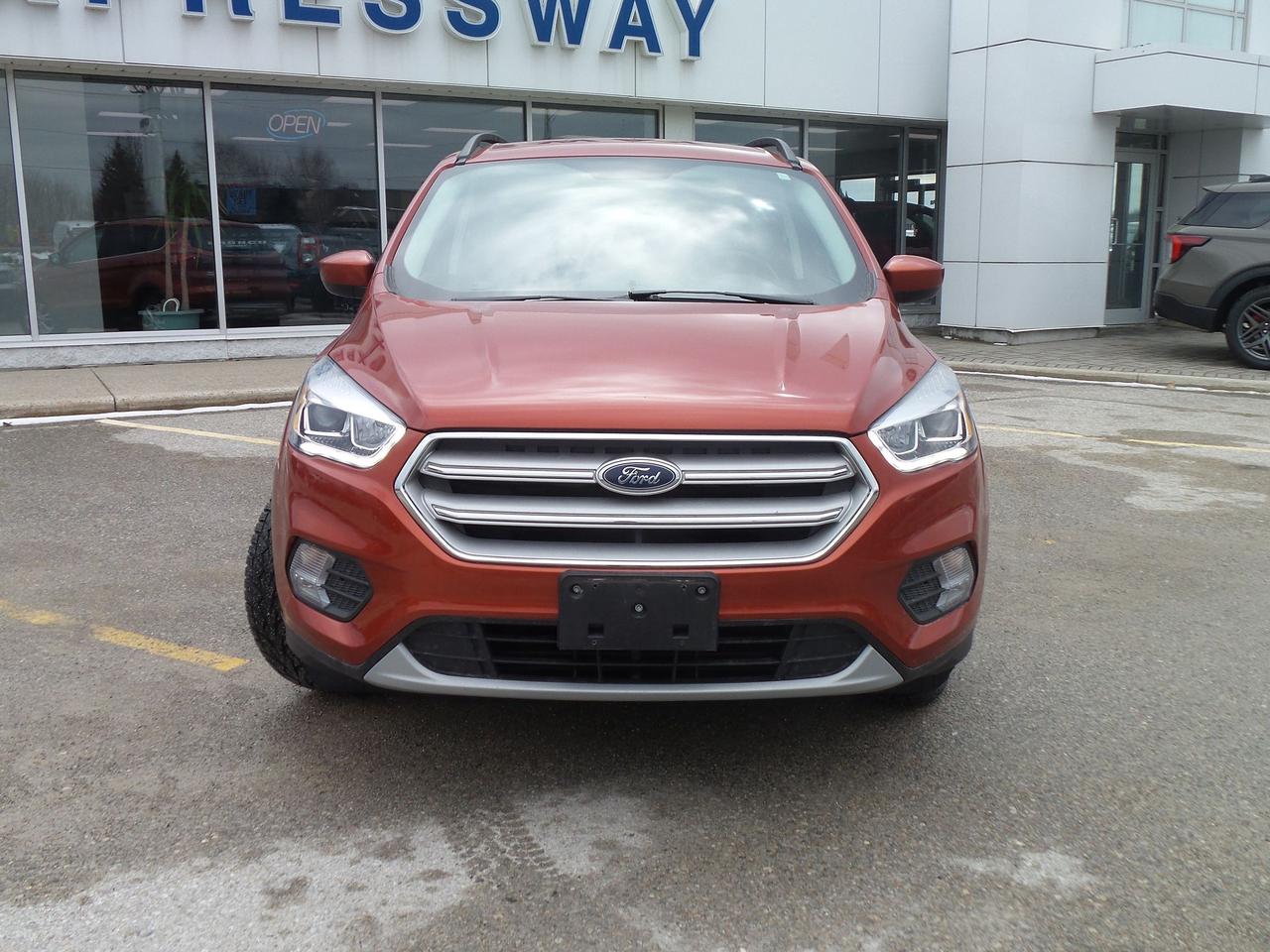 2019 Ford Escape SEL - 4WD Photo