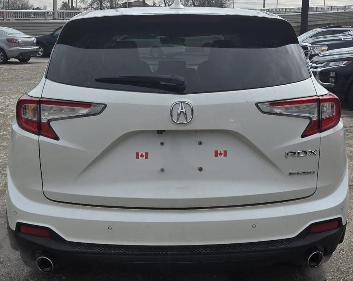 2019 Acura RDX PLATINUM ELITE / NO ACCIDENTS / 360 CAM / NAV/ROOF Photo2