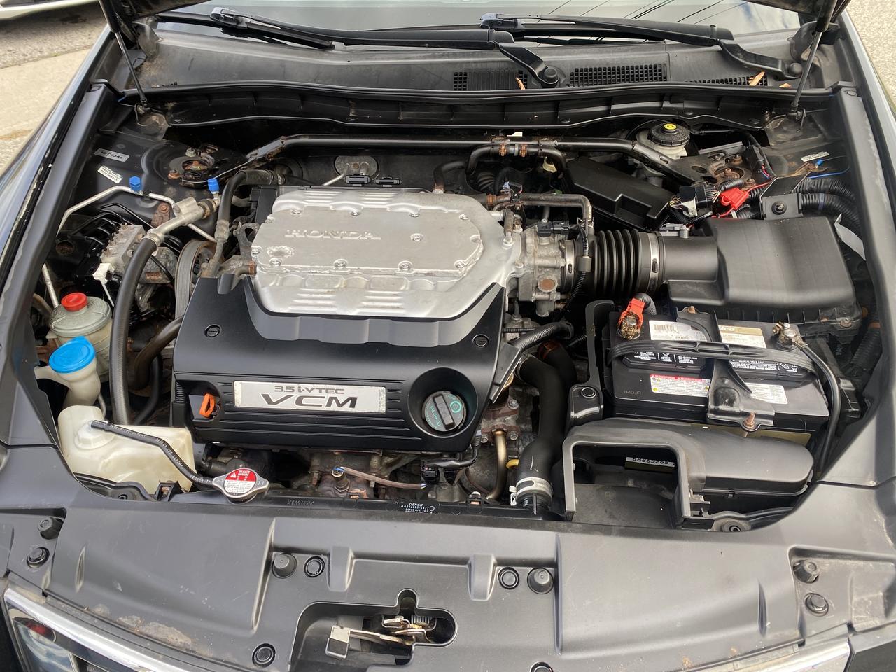 2010 Honda Accord EX-L Photo