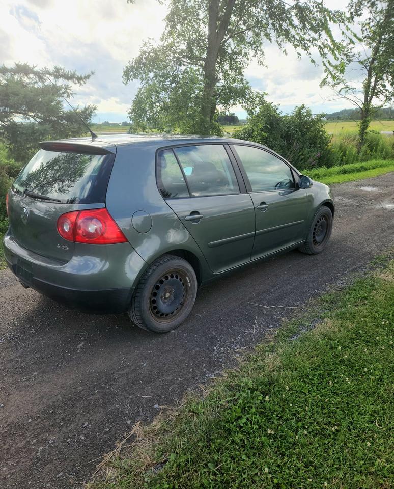 2008 Volkswagen Rabbit S Photo