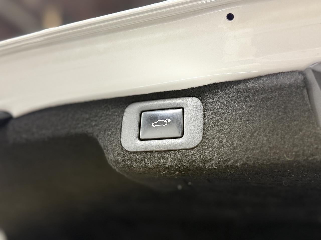 2018 Lexus LS 500  Photo