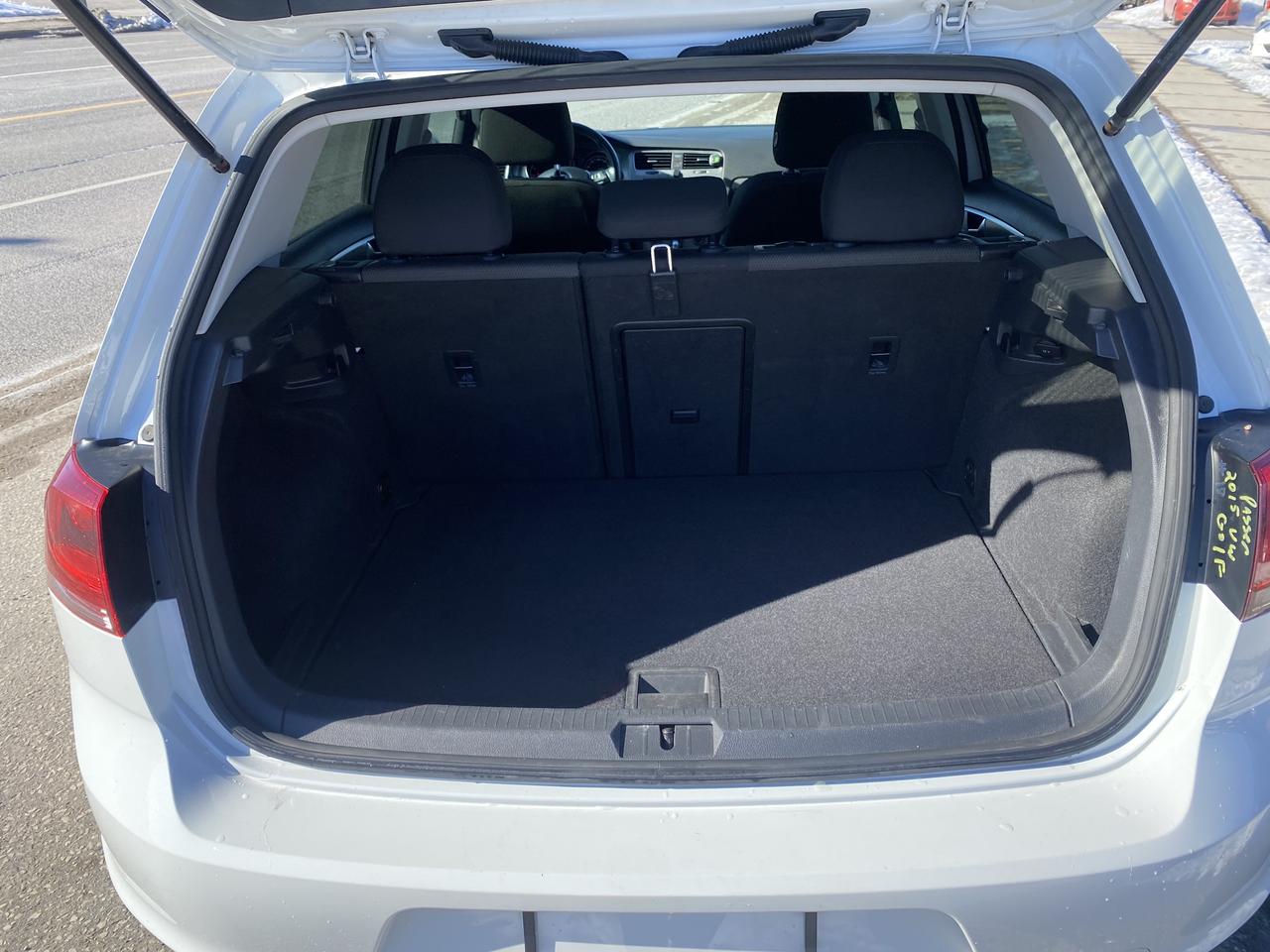 2015 Volkswagen Golf TSI S Photo