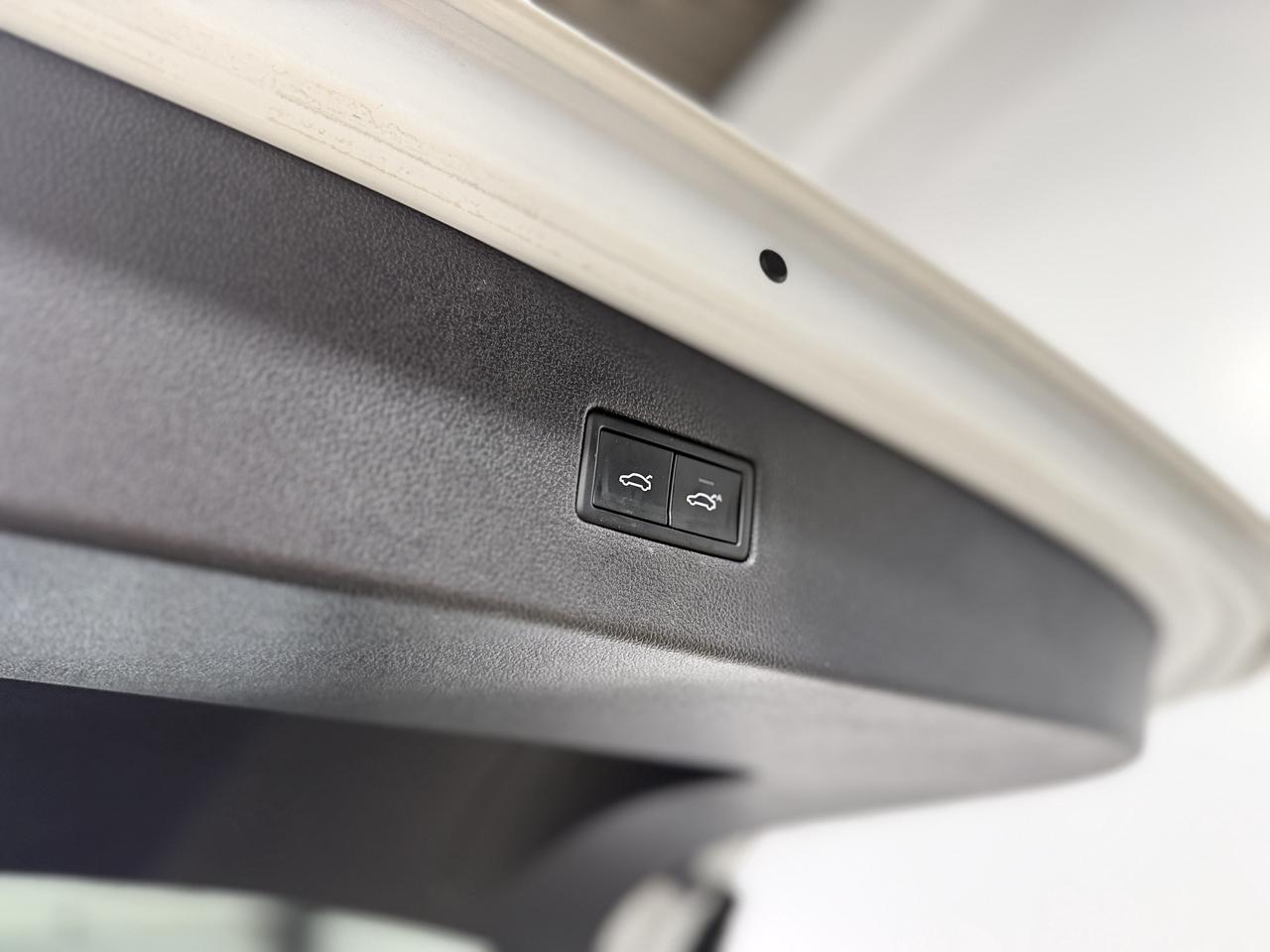 2019 Volkswagen Tiguan Highline Photo