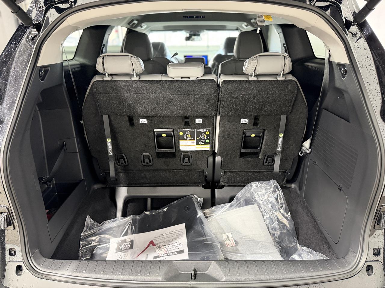 2025 Toyota Sienna XLE Photo