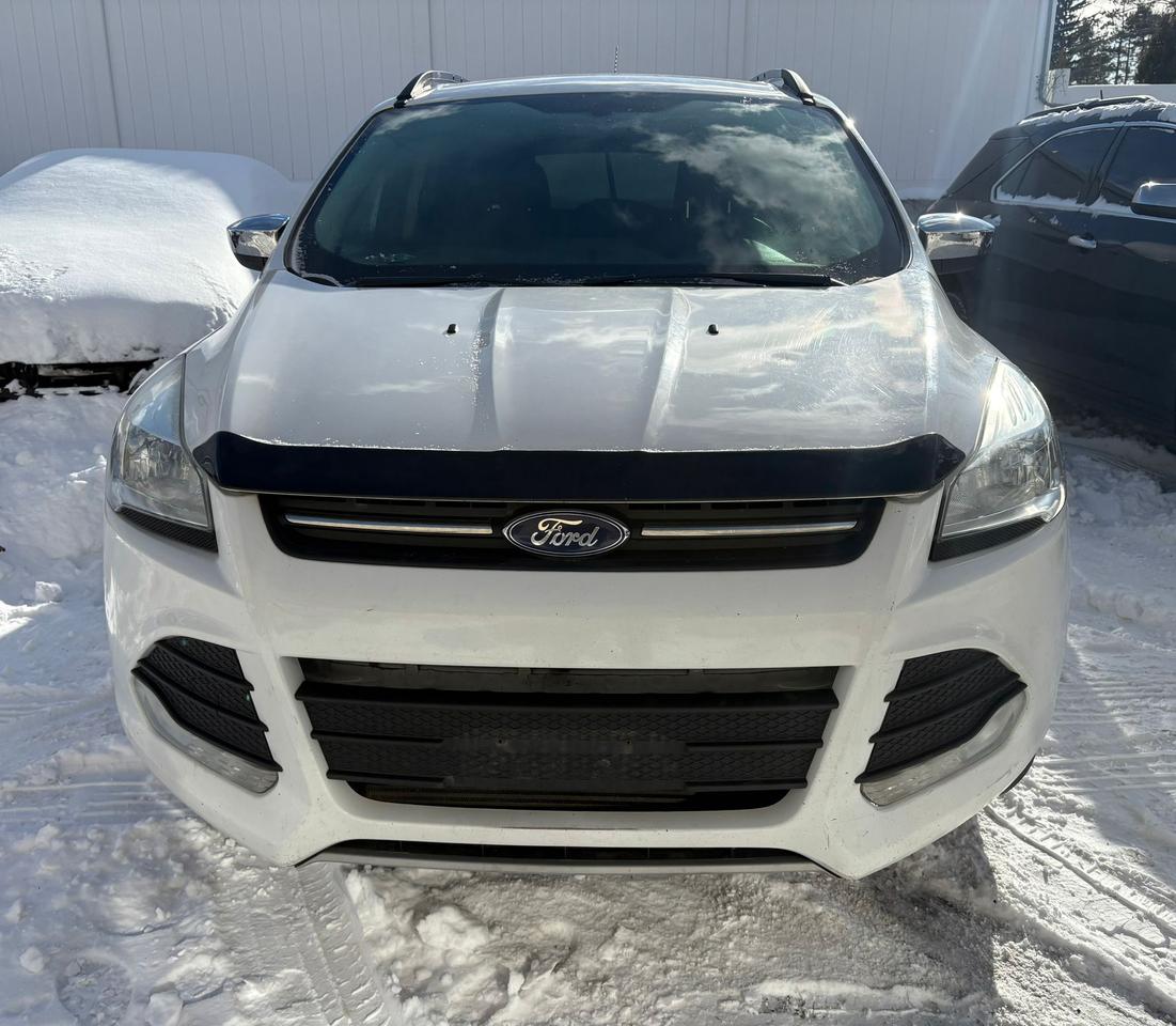 2015 Ford Escape SE Photo