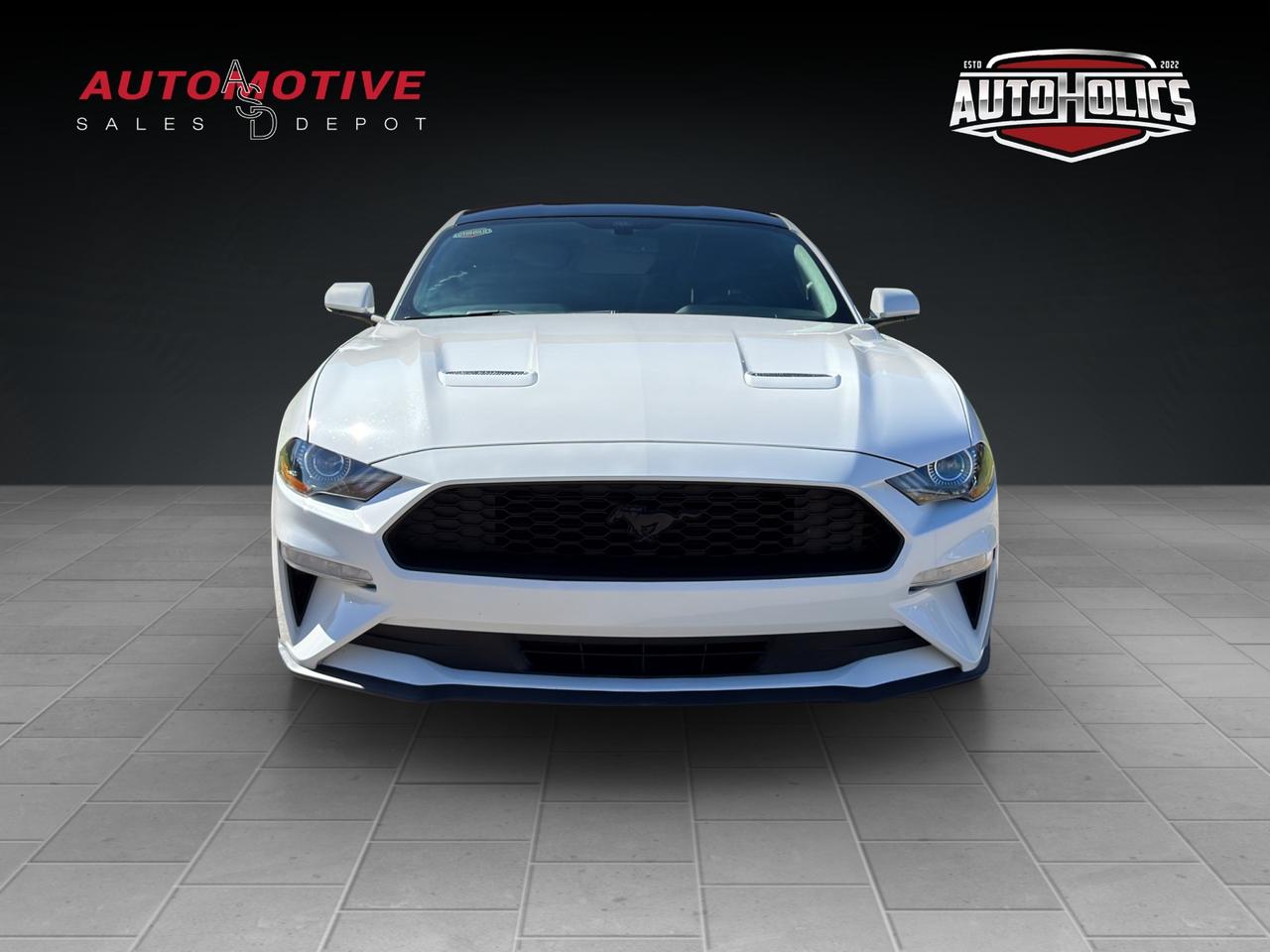 2019 Ford Mustang EcoBoost Photo