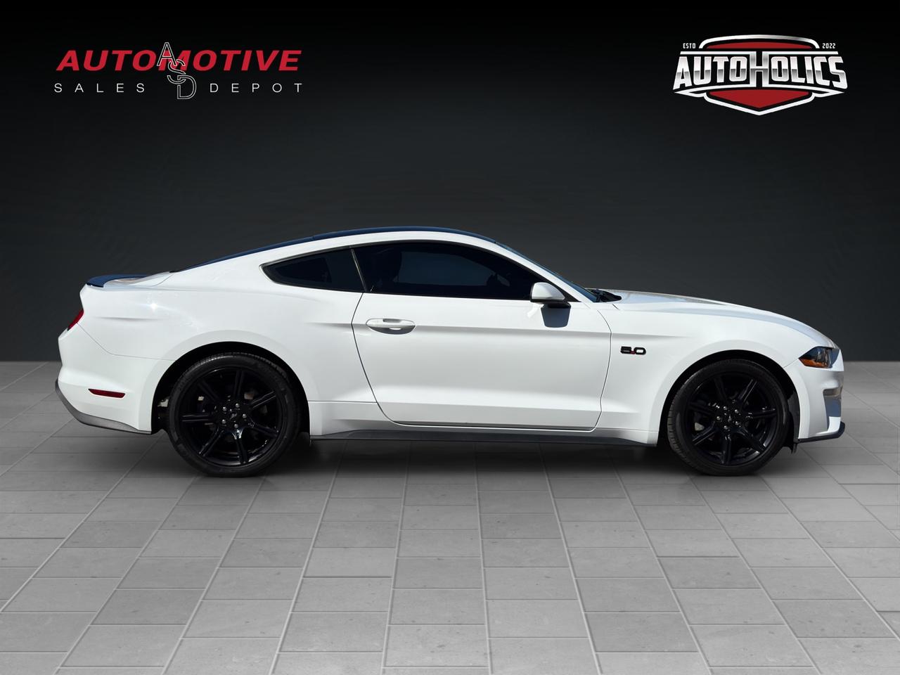 2019 Ford Mustang EcoBoost Photo