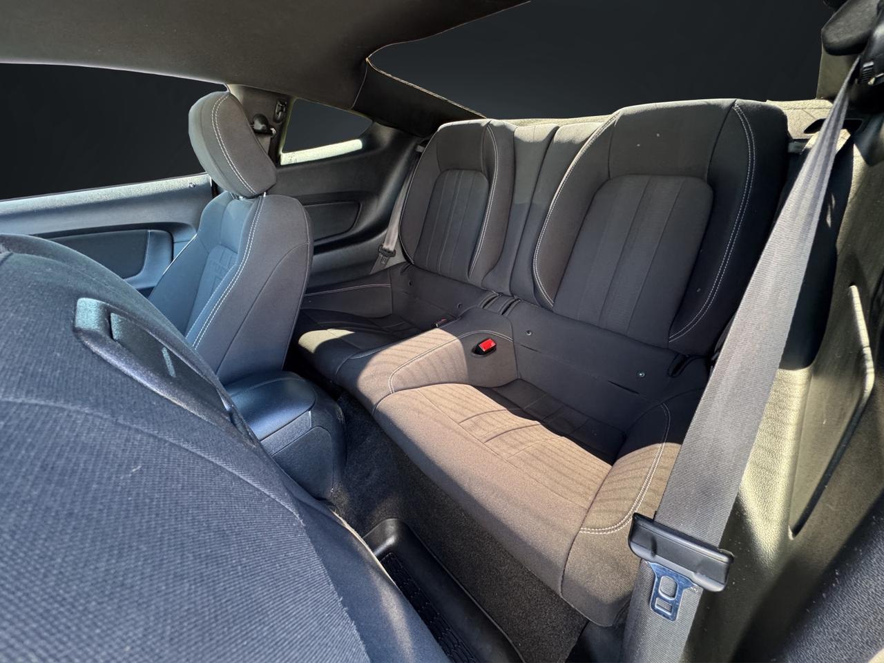 2019 Ford Mustang EcoBoost Photo