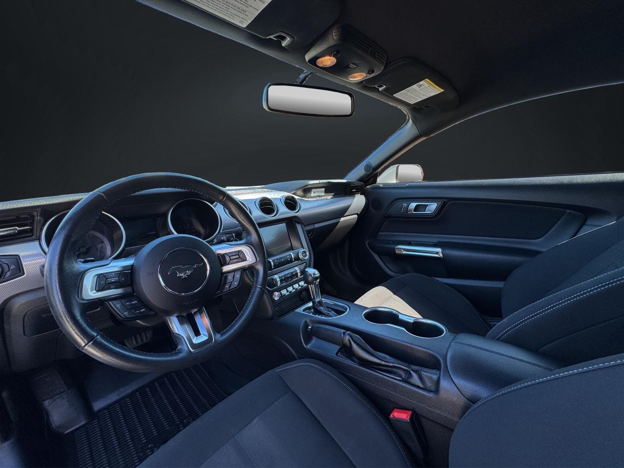 2019 Ford Mustang EcoBoost Photo