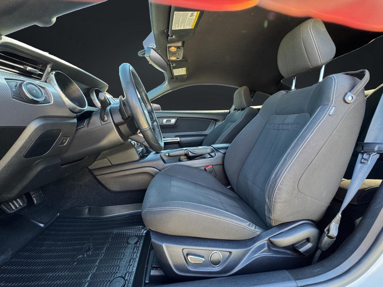 2019 Ford Mustang EcoBoost Photo