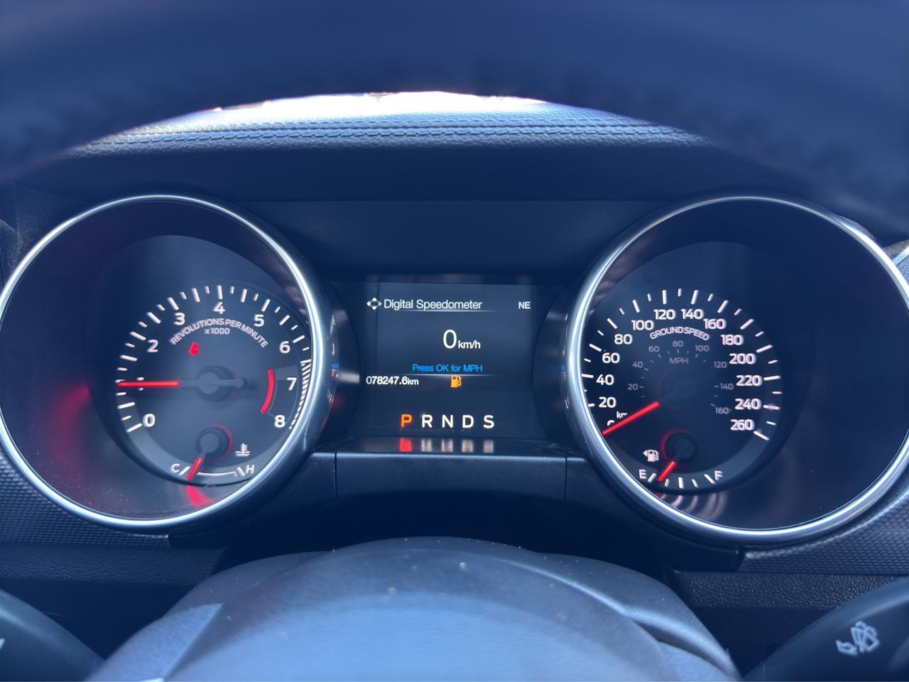 2019 Ford Mustang EcoBoost Photo