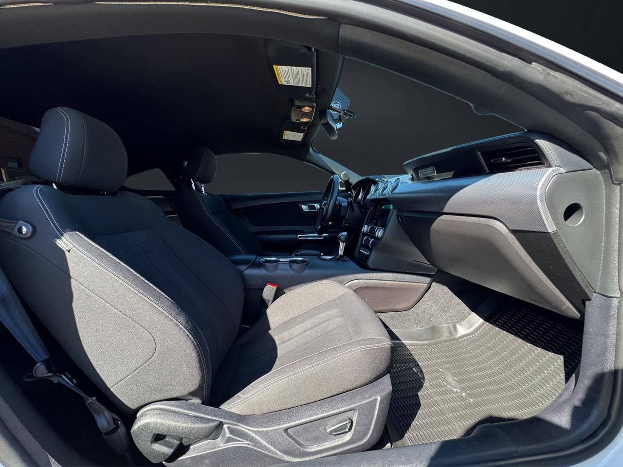 2019 Ford Mustang EcoBoost Photo