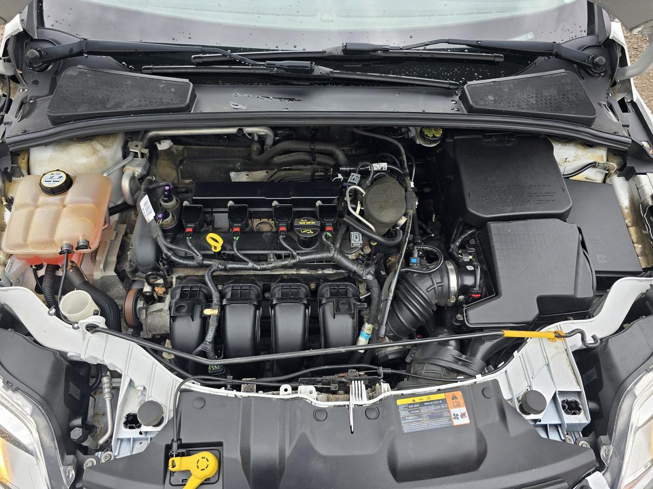 2013 Ford Focus SE Photo