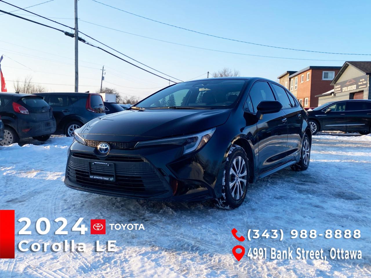 2024 Toyota Corolla Hybrid LE Photo