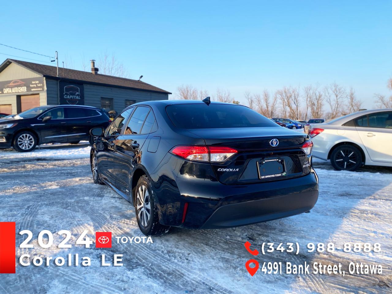 2024 Toyota Corolla Hybrid LE Photo