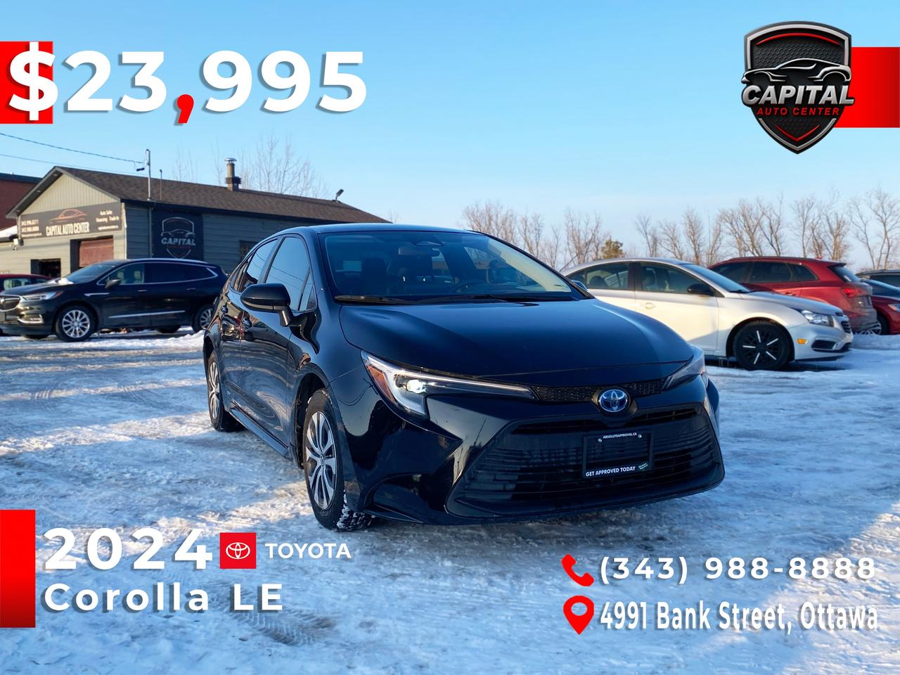 2024 Toyota Corolla Hybrid LE Photo