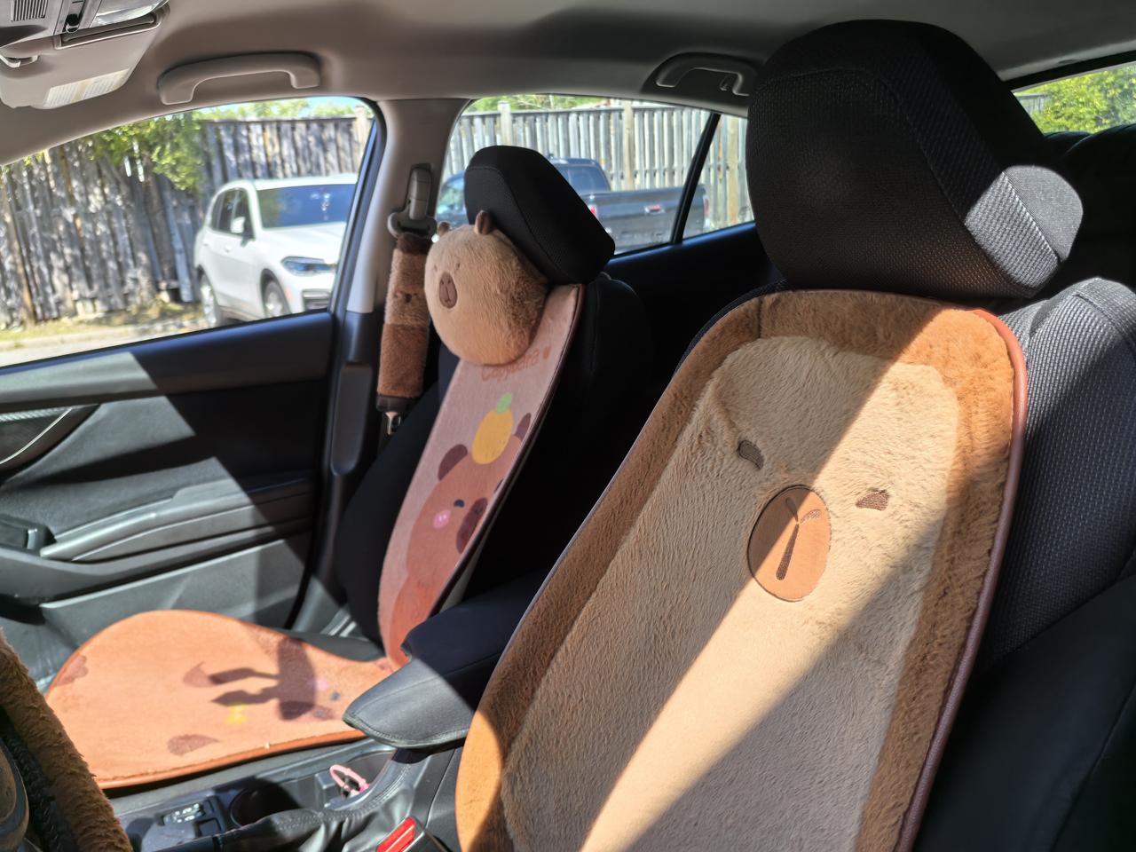 2019 Subaru Impreza Premium 2.0i Photo