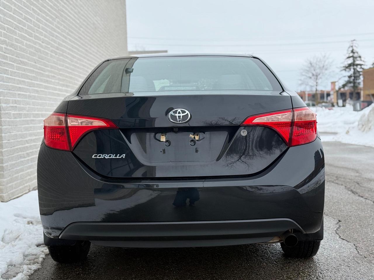 2019 Toyota Corolla CE Photo