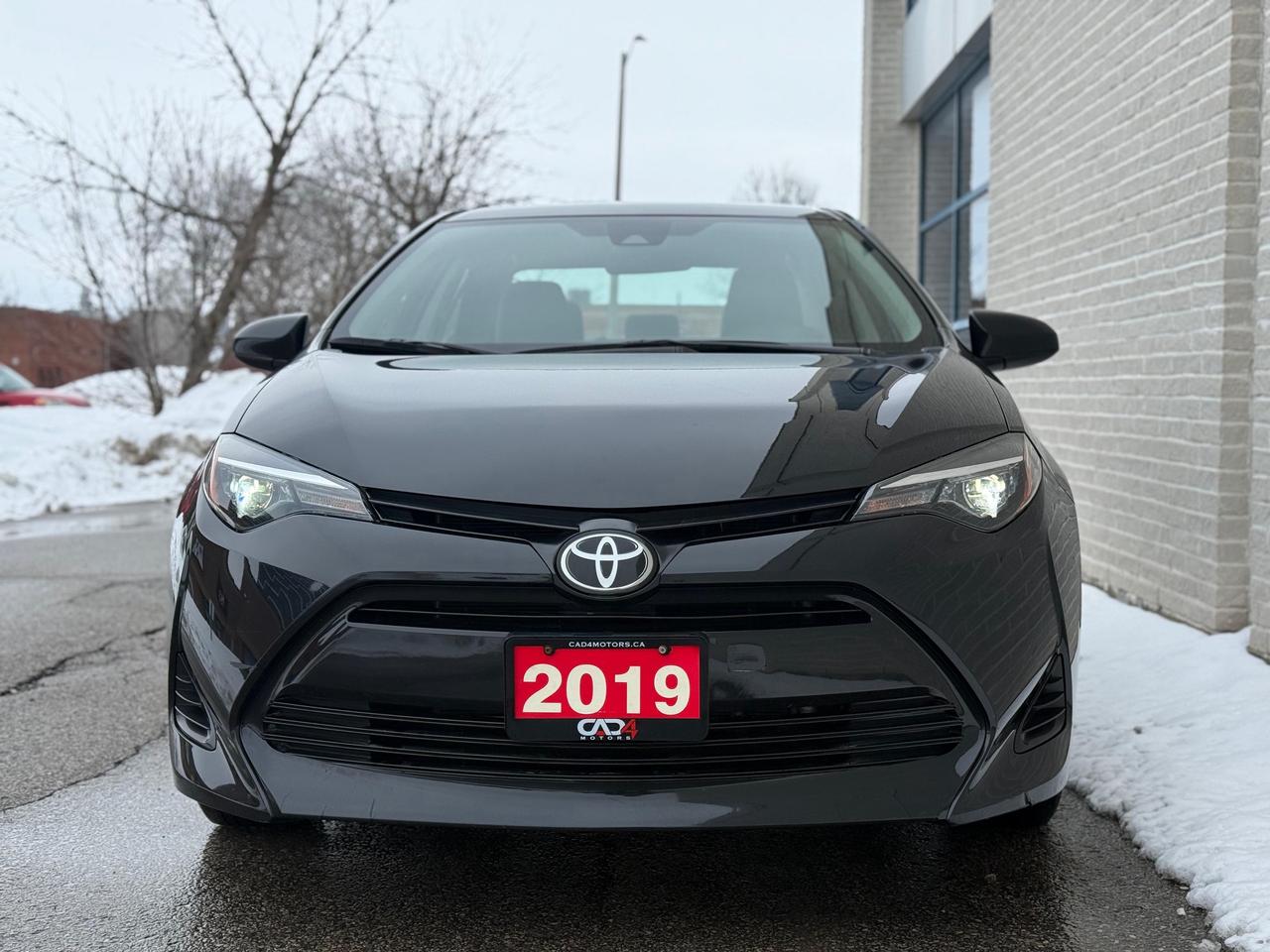 2019 Toyota Corolla CE Photo