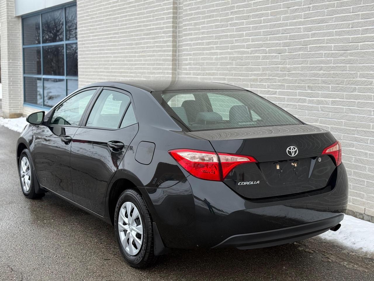 2019 Toyota Corolla CE Photo