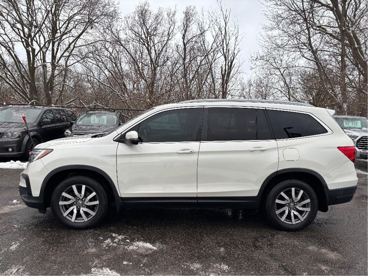 2019 Honda Pilot EX AWD 8 PASS ROOF CARPLAY ADVANCED SAFETY Photo
