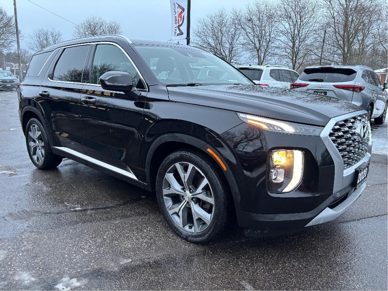 2020 Hyundai PALISADE Preferred AWD 8 PASS ROOF ONE OWNER Photo3