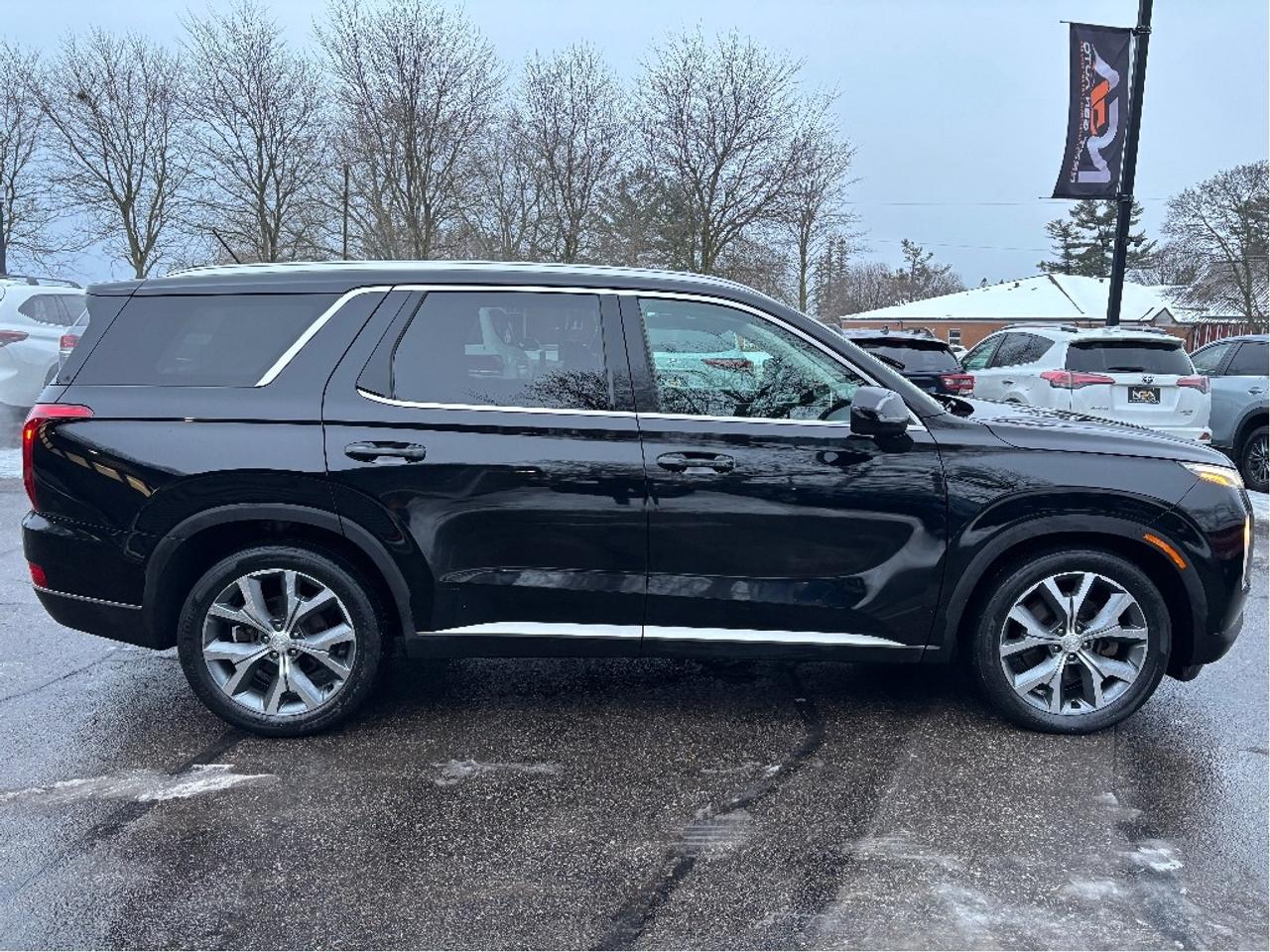 2020 Hyundai PALISADE Preferred AWD 8 PASS ROOF ONE OWNER Photo4