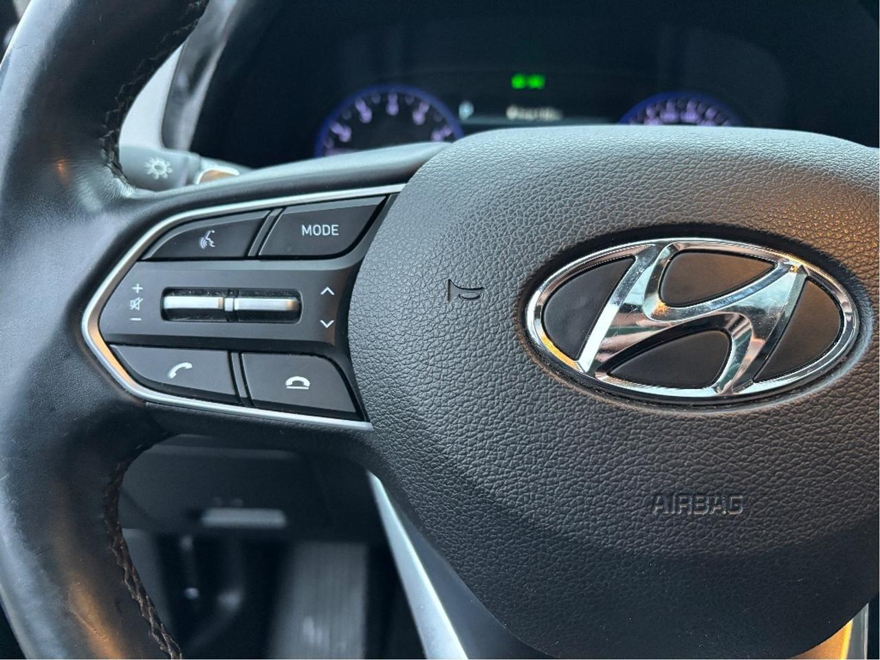 2020 Hyundai PALISADE Preferred AWD 8 PASS ROOF ONE OWNER Photo