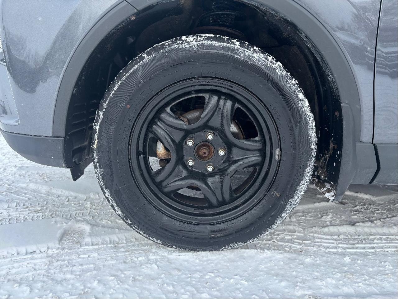 2016 Toyota RAV4 LE AWD UPGRADE PKG HEATED SEATS BACKUP CAM Photo