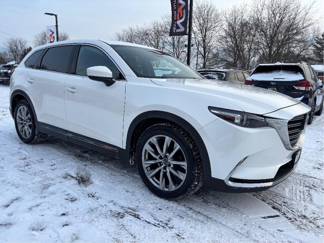 2017 Mazda CX-9 GT 7 PASS TECH PKG LEATHER MOONROOF Photo