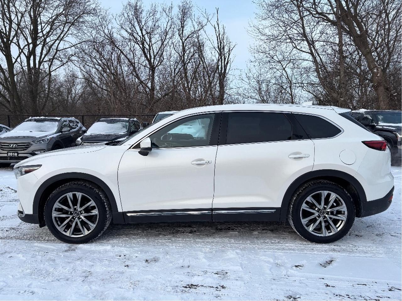 2017 Mazda CX-9 GT 7 PASS TECH PKG LEATHER MOONROOF Photo