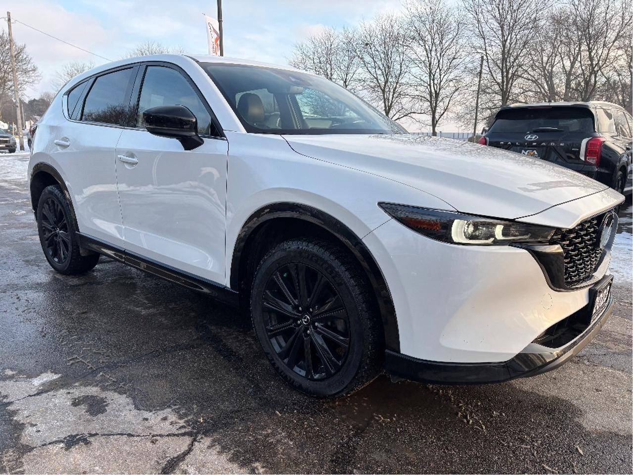 2023 Mazda CX-5 Sport LEATHER ROOF NAV CLEAN CARFAX Photo3