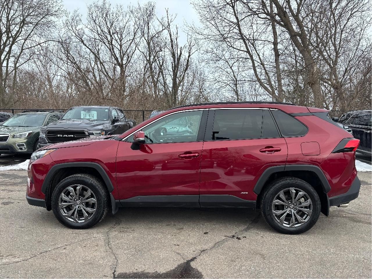 2024 Toyota RAV4 Hybrid XLE PREMIUM AWD LEATHER ROOF HEATED STEERING Photo