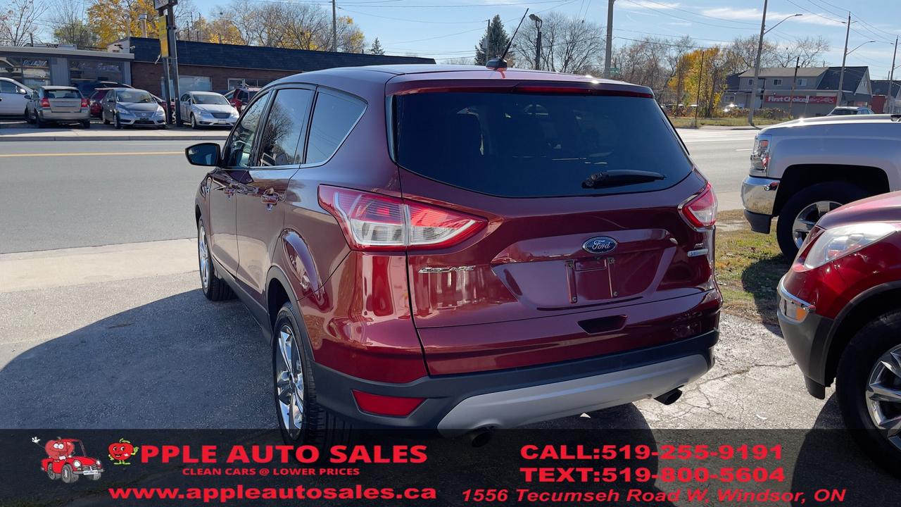 2014 Ford Escape SE Photo3