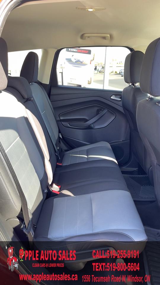 2014 Ford Escape SE Photo