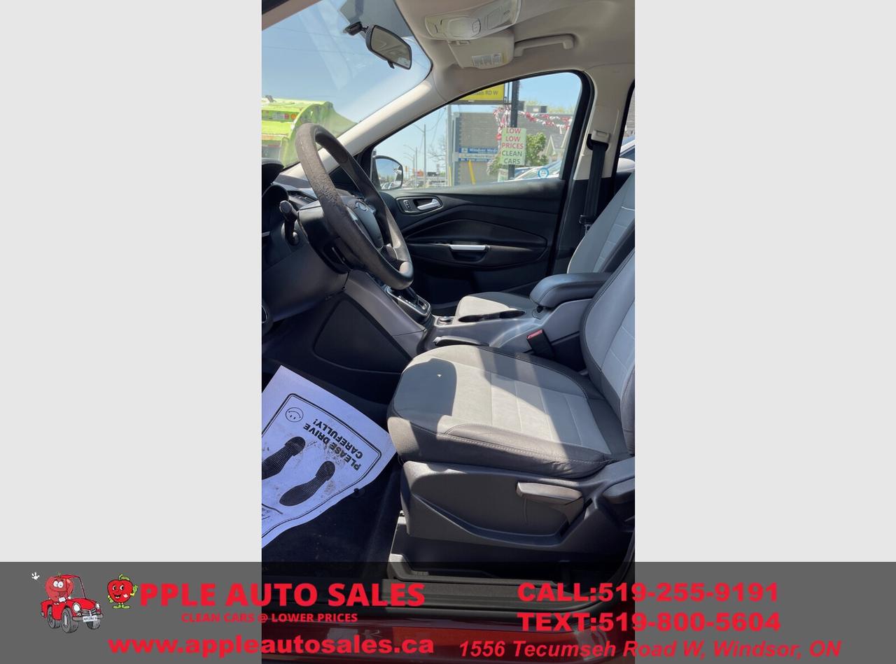 2014 Ford Escape SE Photo