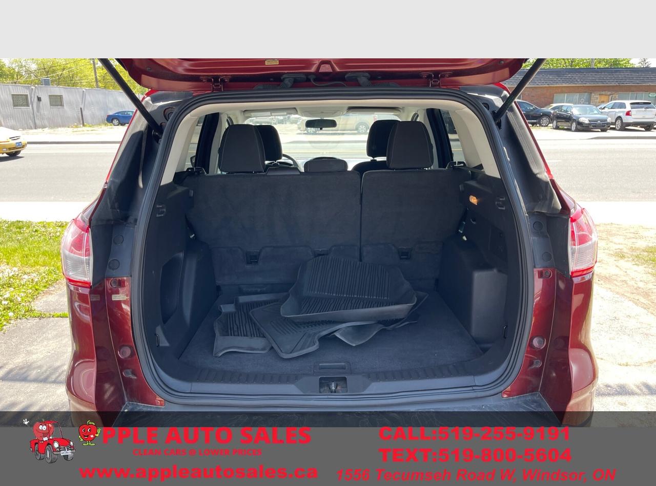 2014 Ford Escape SE Photo