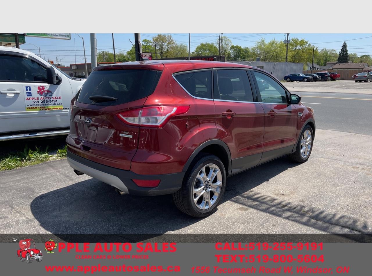2014 Ford Escape SE Photo