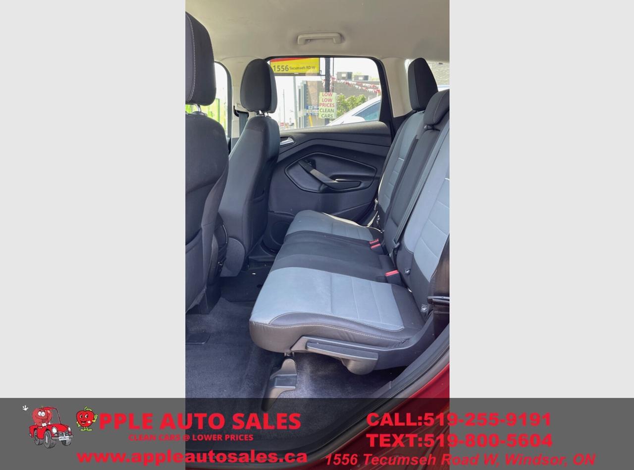 2014 Ford Escape SE Photo
