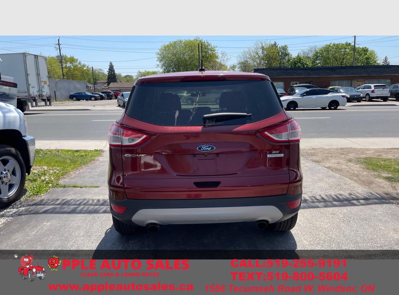 2014 Ford Escape SE Photo