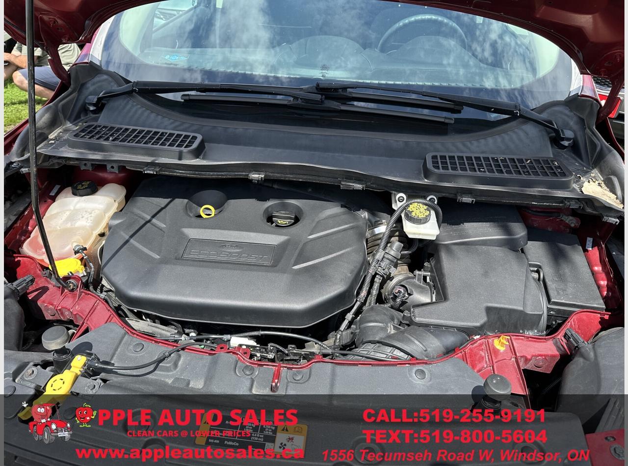 2015 Ford Escape SE Photo