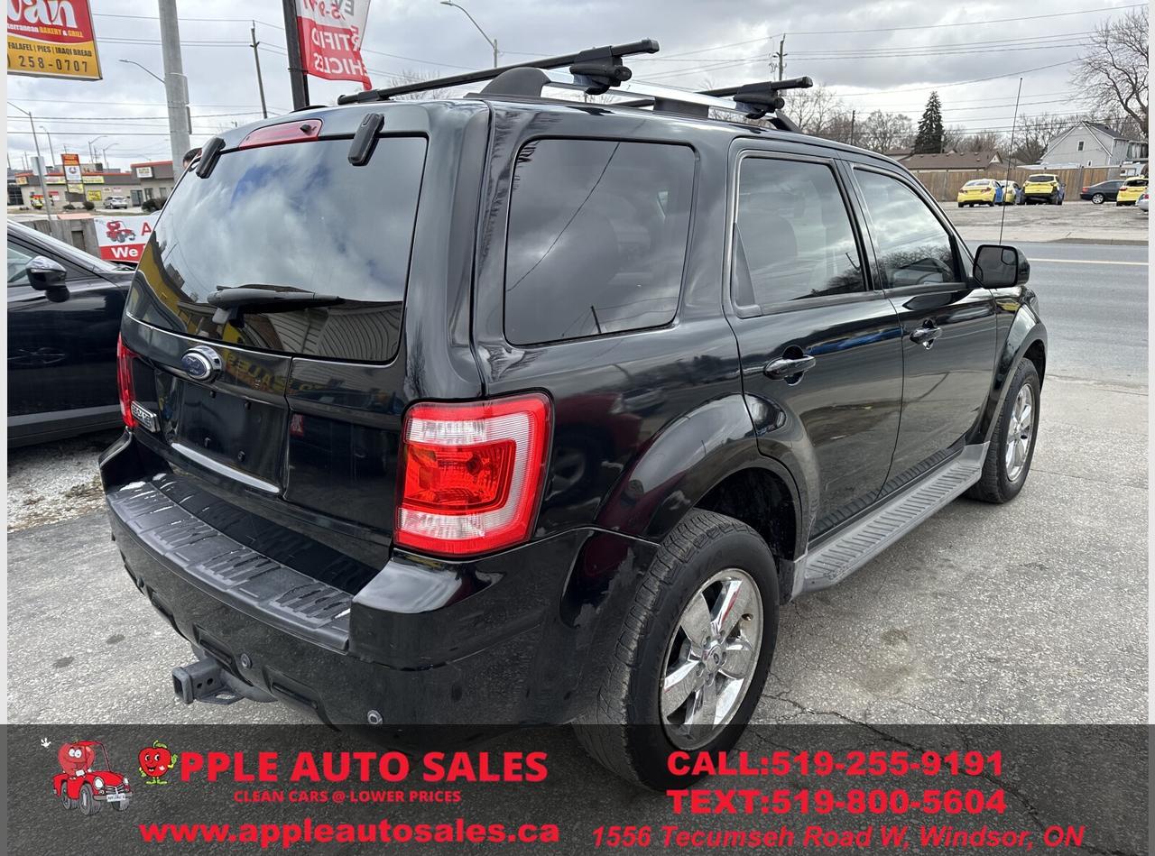 2010 Ford Escape Limited Photo3